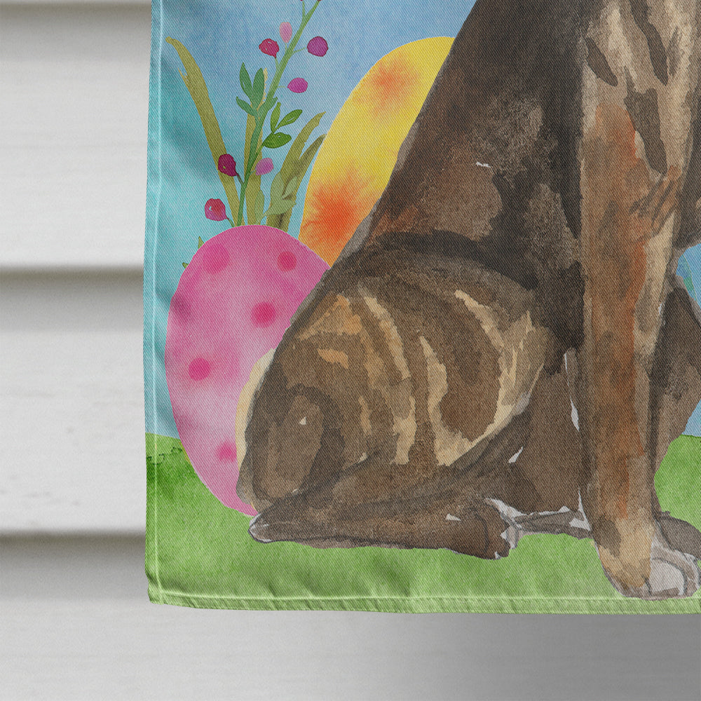 Easter Eggs Catahoula Leopard Dog Flag Canvas House Size CK1919CHF  the-store.com.