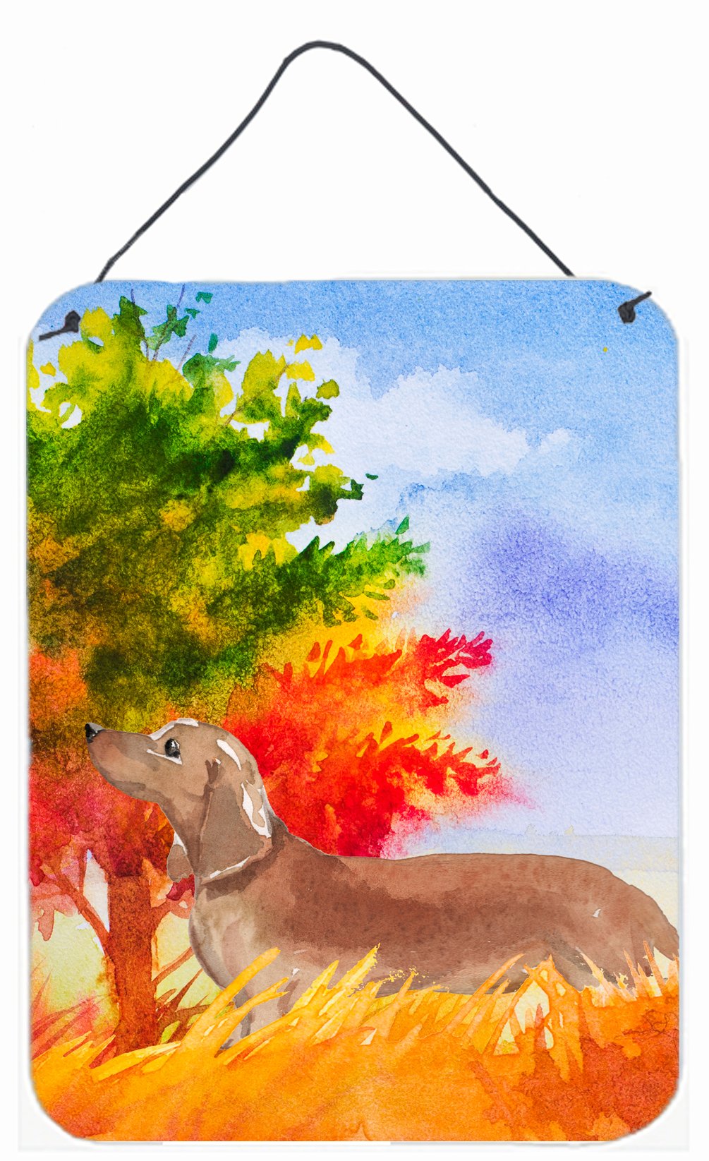 Fall Red Dachshund Wall or Door Hanging Prints CK1932DS1216 by Caroline&#39;s Treasures