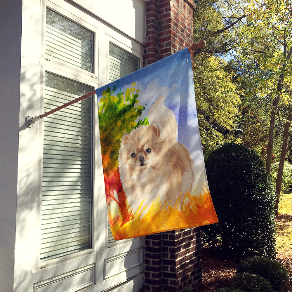 Fall Pomeranian Flag Canvas House Size CK1935CHF