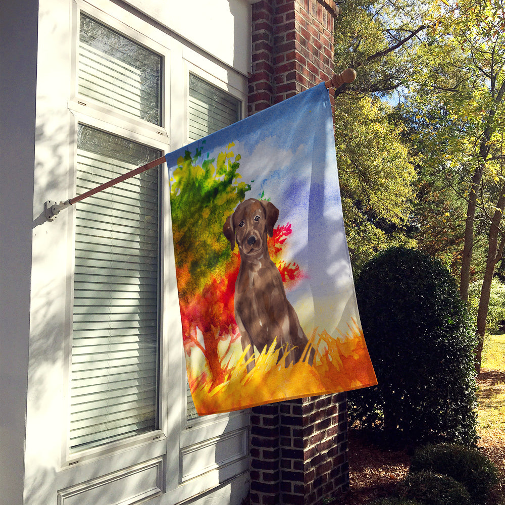 Fall Chocolate Labrador Retriever Flag Canvas House Size CK1951CHF