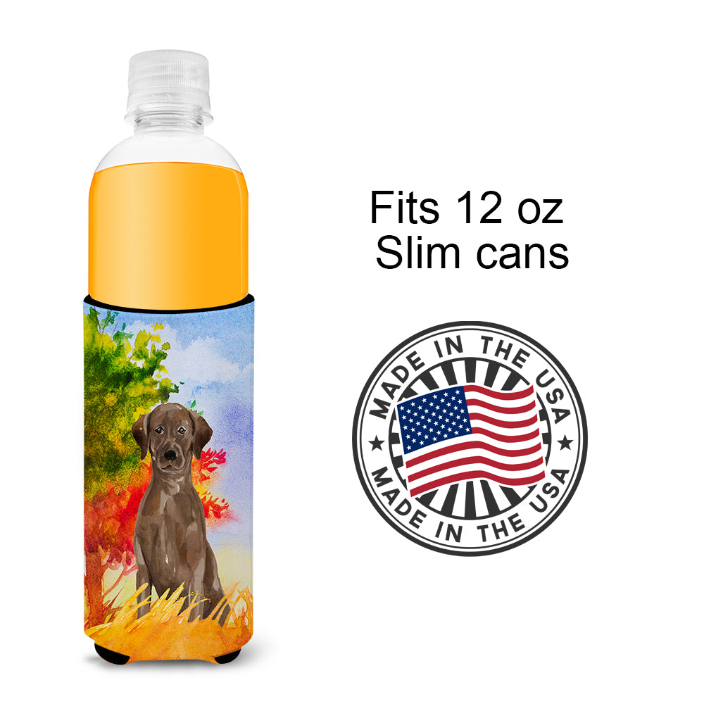 Fall Chocolate Labrador Retriever  Ultra Hugger for slim cans CK1951MUK  the-store.com.