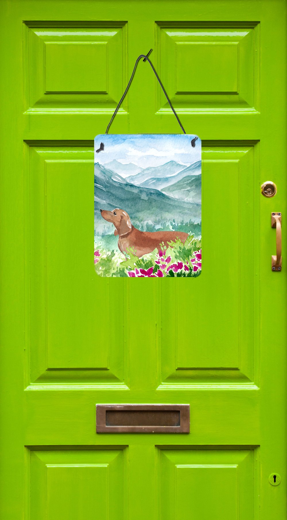 Mountian Flowers Red Dachshund Wall or Door Hanging Prints CK1967DS1216 by Caroline's Treasures