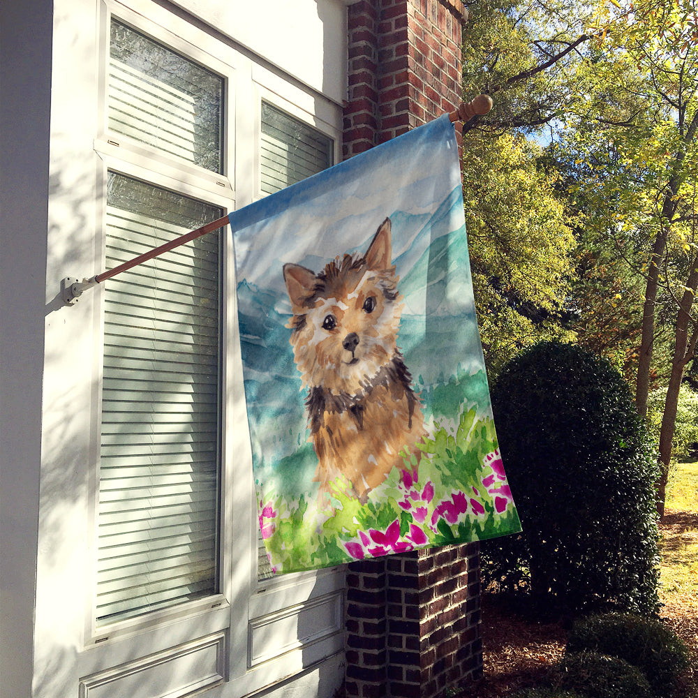 Caroline's Treasures Mountian Flowers Norwich Terrier Flag Canvas House Size CK1971CHF