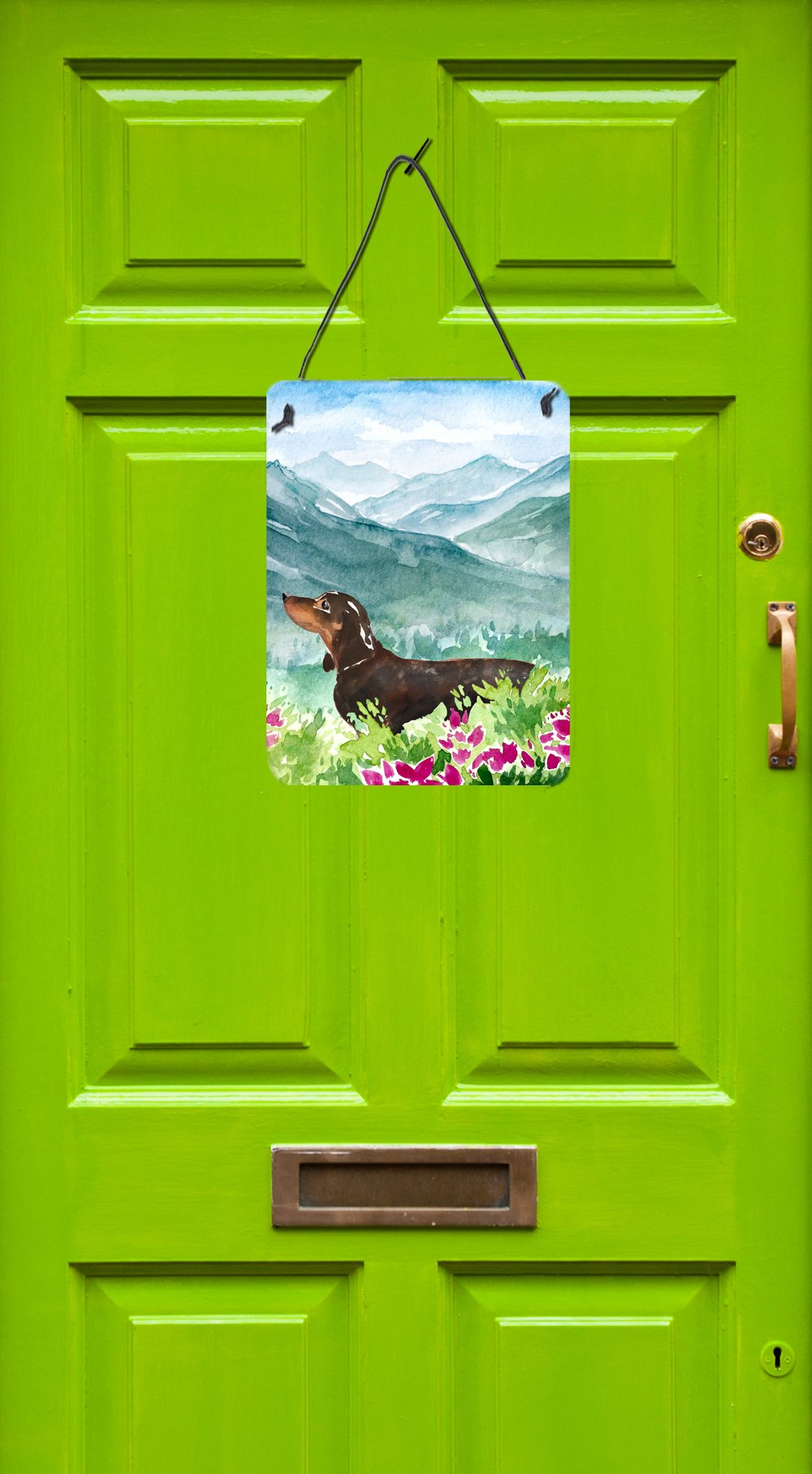 Mountian Flowers Dachshund Wall or Door Hanging Prints CK1993DS1216 by Caroline's Treasures