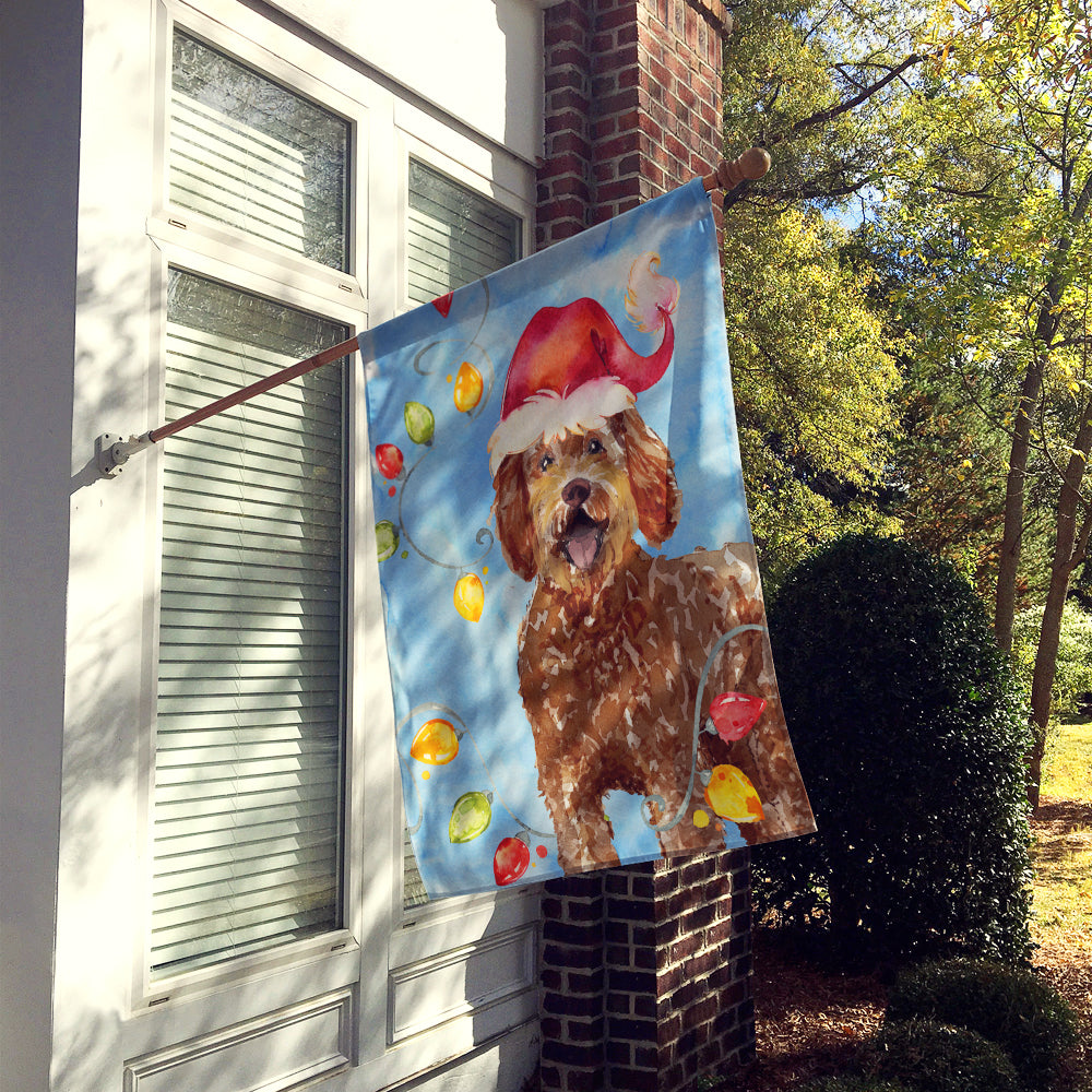 Christmas Lights Labradoodle Flag Canvas House Size CK2482CHF  the-store.com.