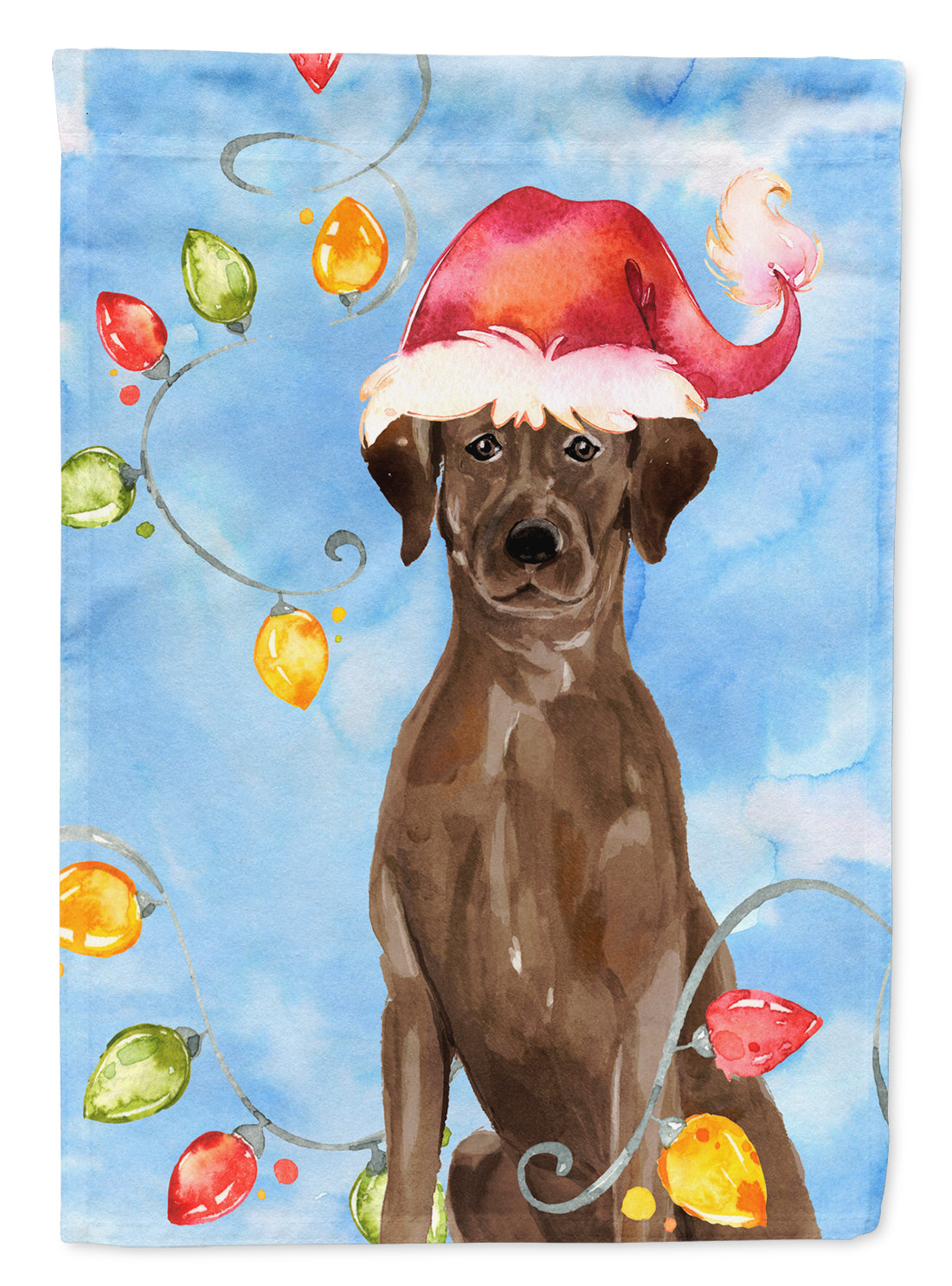 Christmas Lights Chocolate Labrador Retriever Flag Canvas House Size CK2506CHF