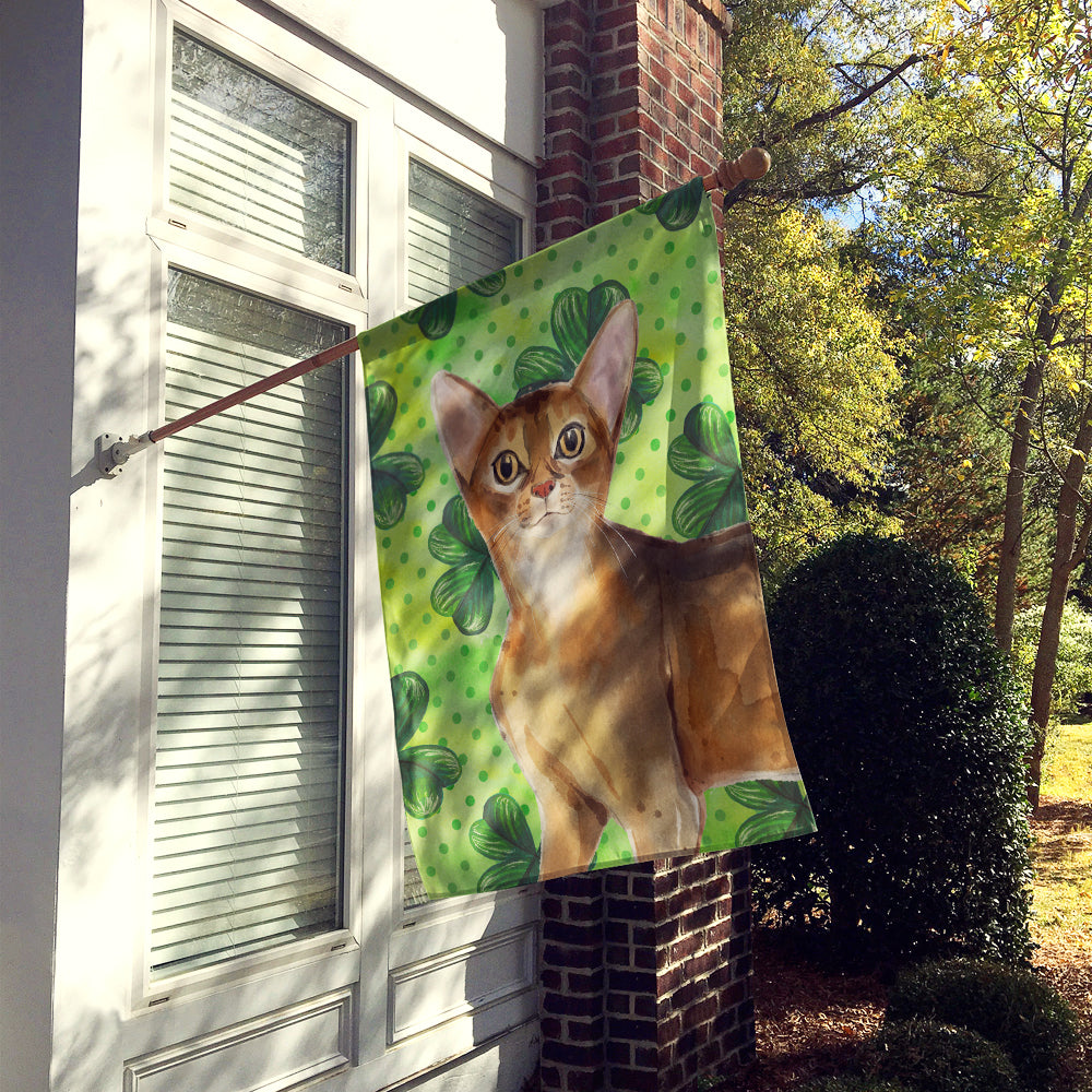 Abyssinian Shamrock Flag Canvas House Size CK3057CHF  the-store.com.