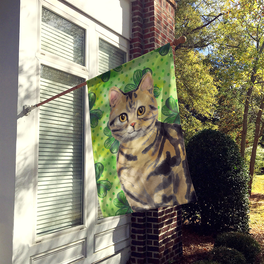 American Shorthair Brown Tabby Shamrock Flag Canvas House Size CK3058CHF  the-store.com.