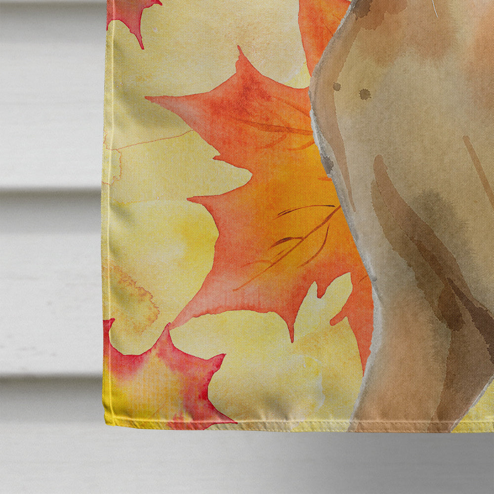 Abyssinian Fall Leaves Flag Canvas House Size CK3072CHF  the-store.com.