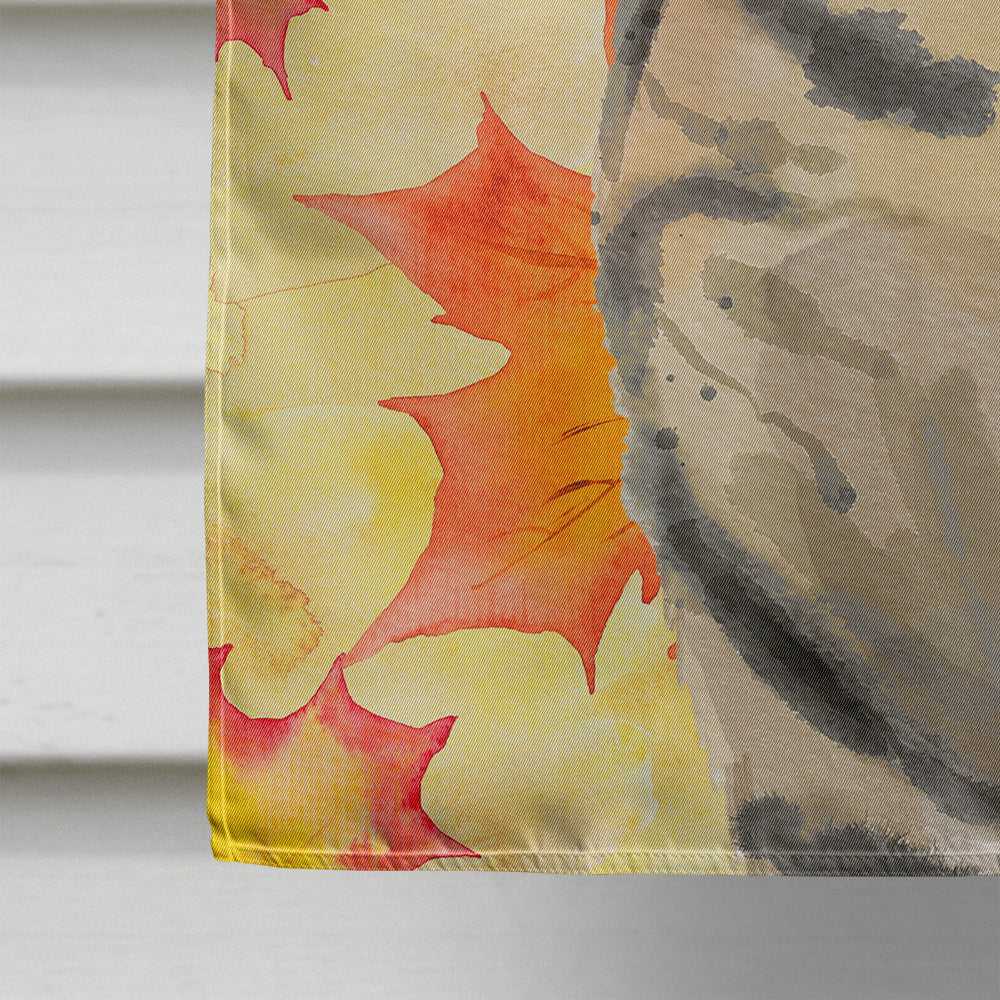 American Shorthair Brown Tabby Fall Leaves Flag Canvas House Size CK3073CHF
