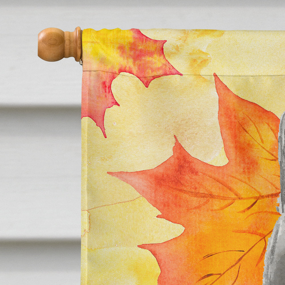 British Shorthair Fall Leaves Flag Canvas House Size CK3078CHF