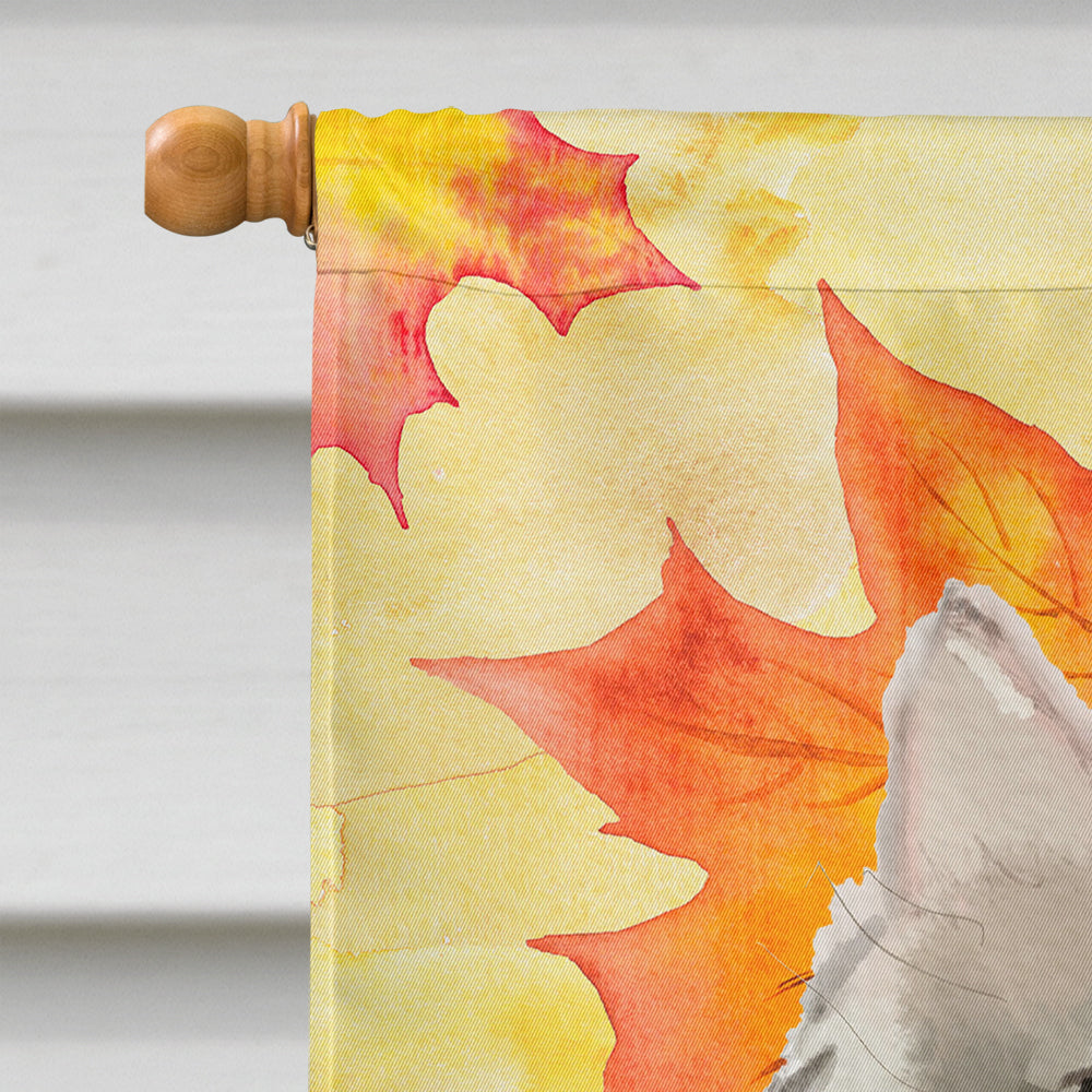 Ragamuffin Fall Leaves Flag Canvas House Size CK3081CHF  the-store.com.
