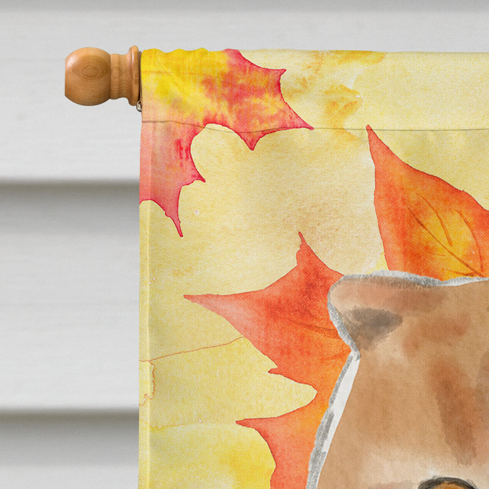 Scottish Fold Fall Leaves Flag Canvas House Size CK3083CHF  the-store.com.