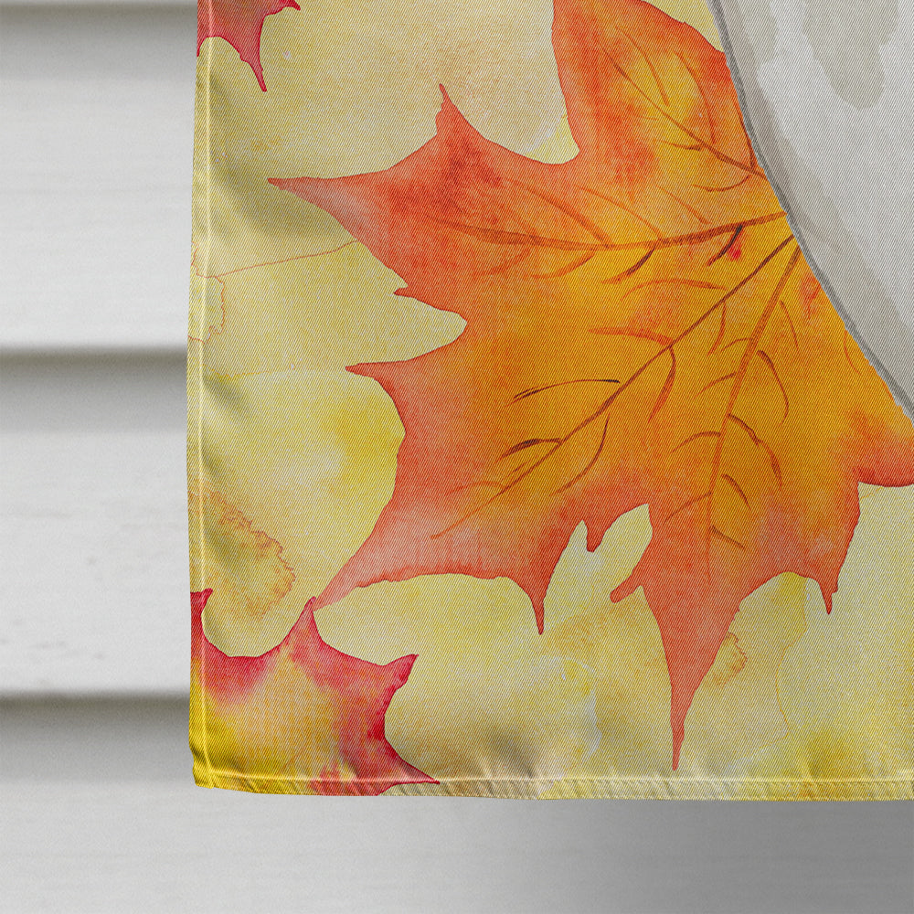 Scottish Fold Fall Leaves Flag Canvas House Size CK3083CHF