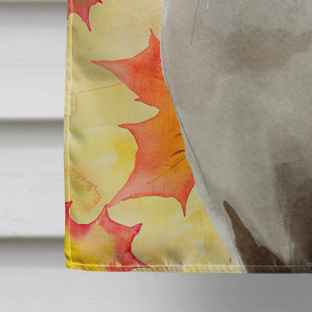 Siamese Fall Leaves Flag Canvas House Size CK3084CHF  the-store.com.