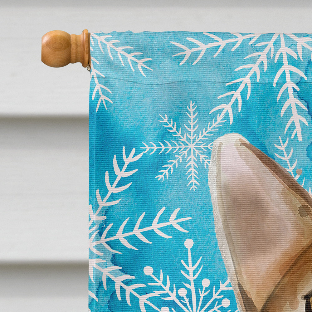 Abyssinian Winter Snowflake Flag Canvas House Size CK3102CHF