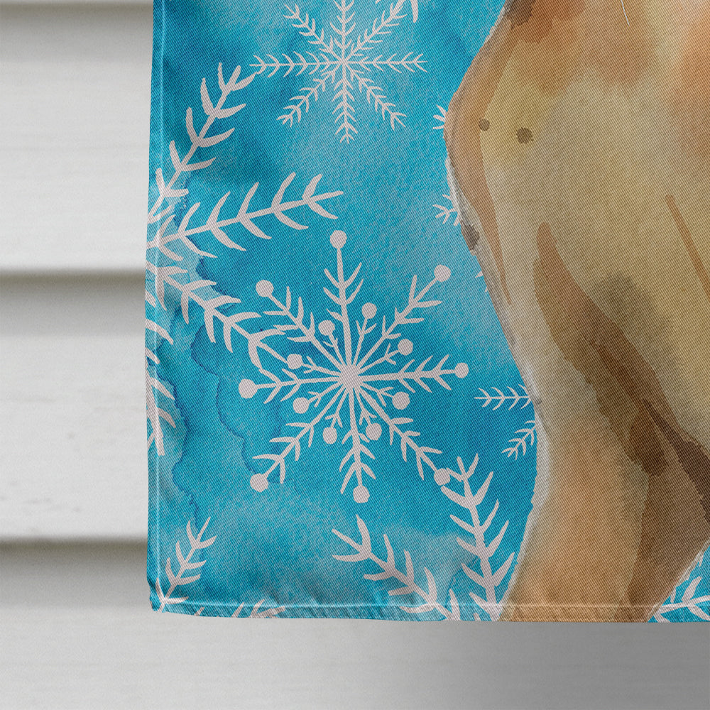 Abyssinian Winter Snowflake Flag Canvas House Size CK3102CHF  the-store.com.