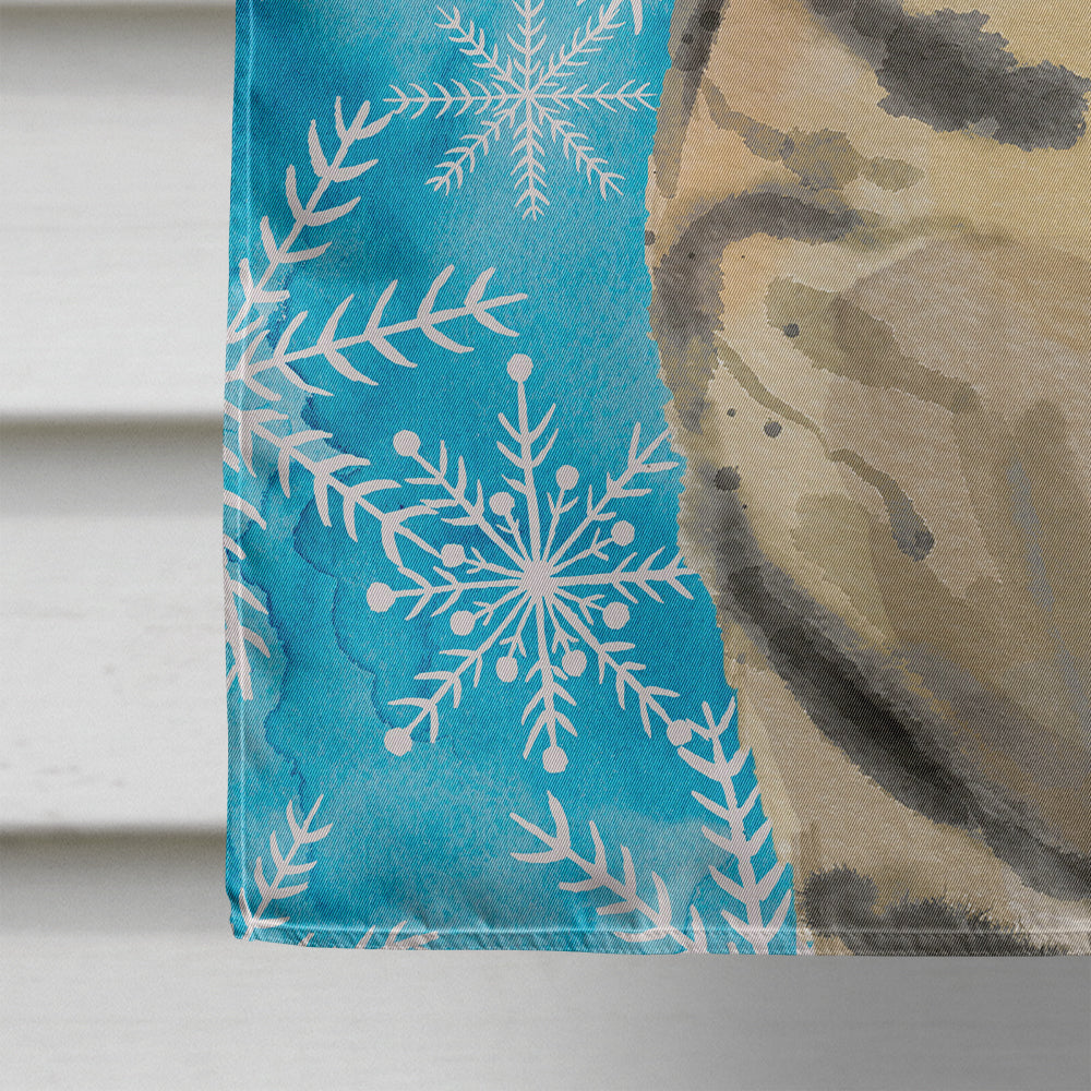 American Shorthair Brown Tabby Winter Snowflake Flag Canvas House Size CK3103CHF