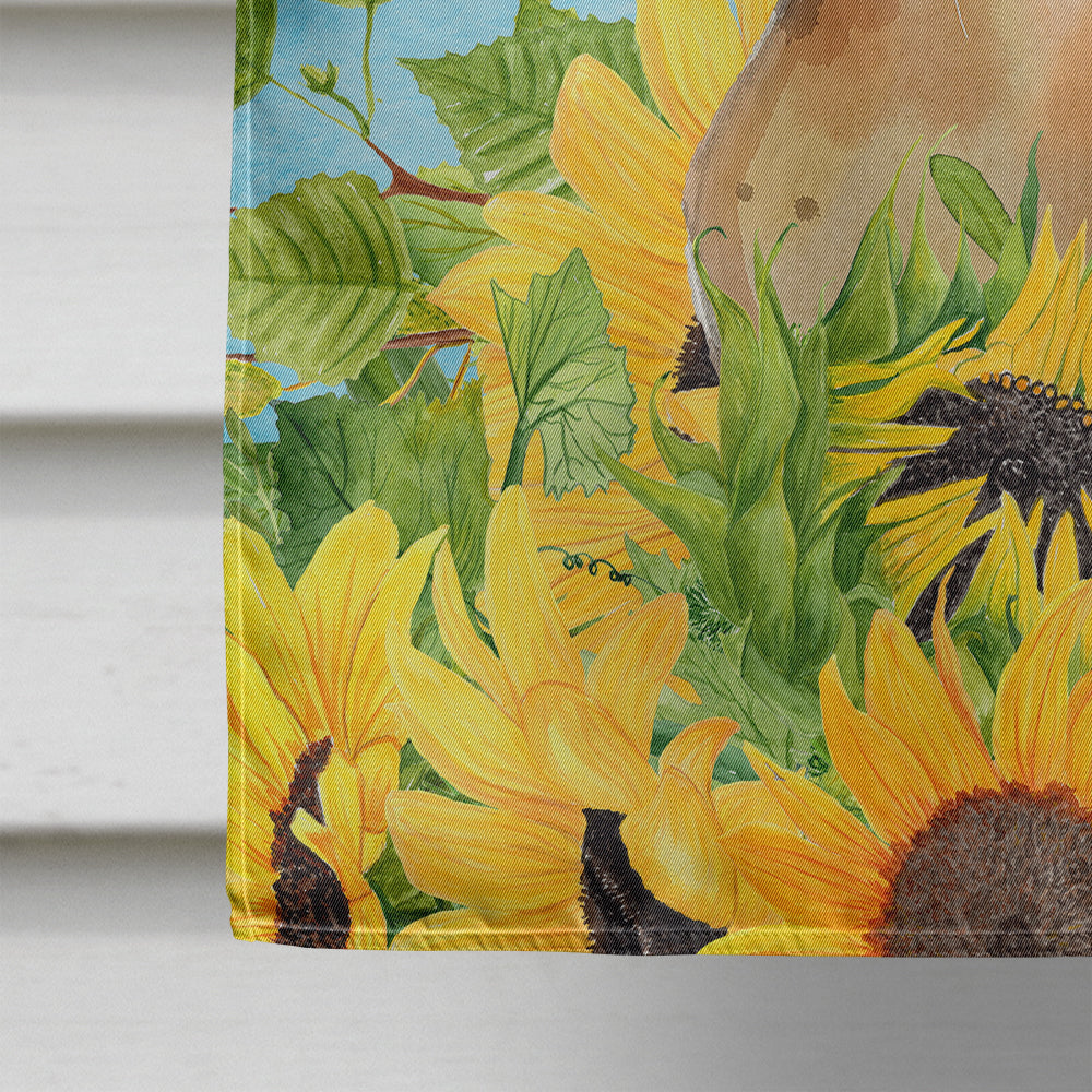 Abyssinian in Sunflowers Flag Canvas House Size CK3147CHF  the-store.com.