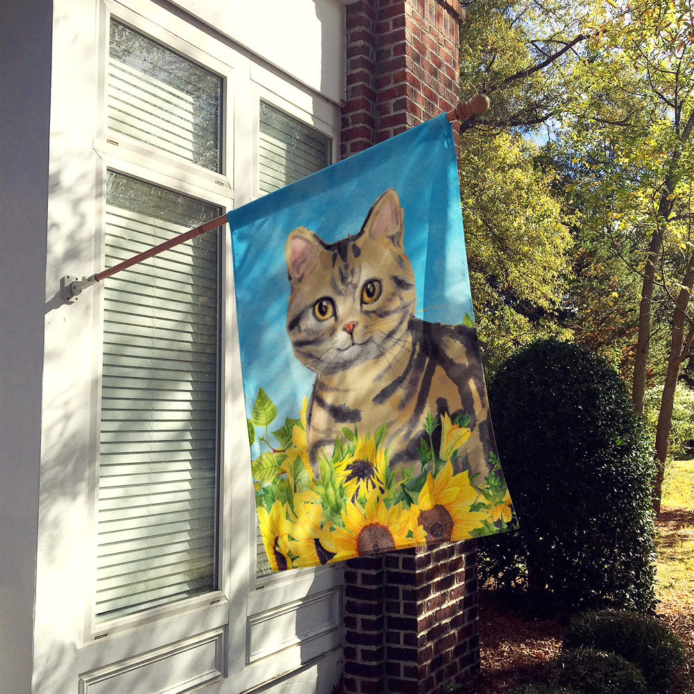 American Shorthair Brown Tabby in Sunflowers Flag Canvas House Size CK3148CHF