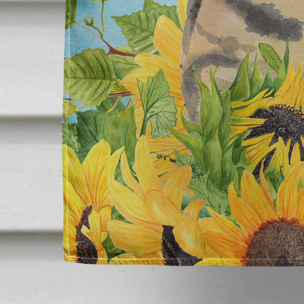 American Shorthair Brown Tabby in Sunflowers Flag Canvas House Size CK3148CHF  the-store.com.