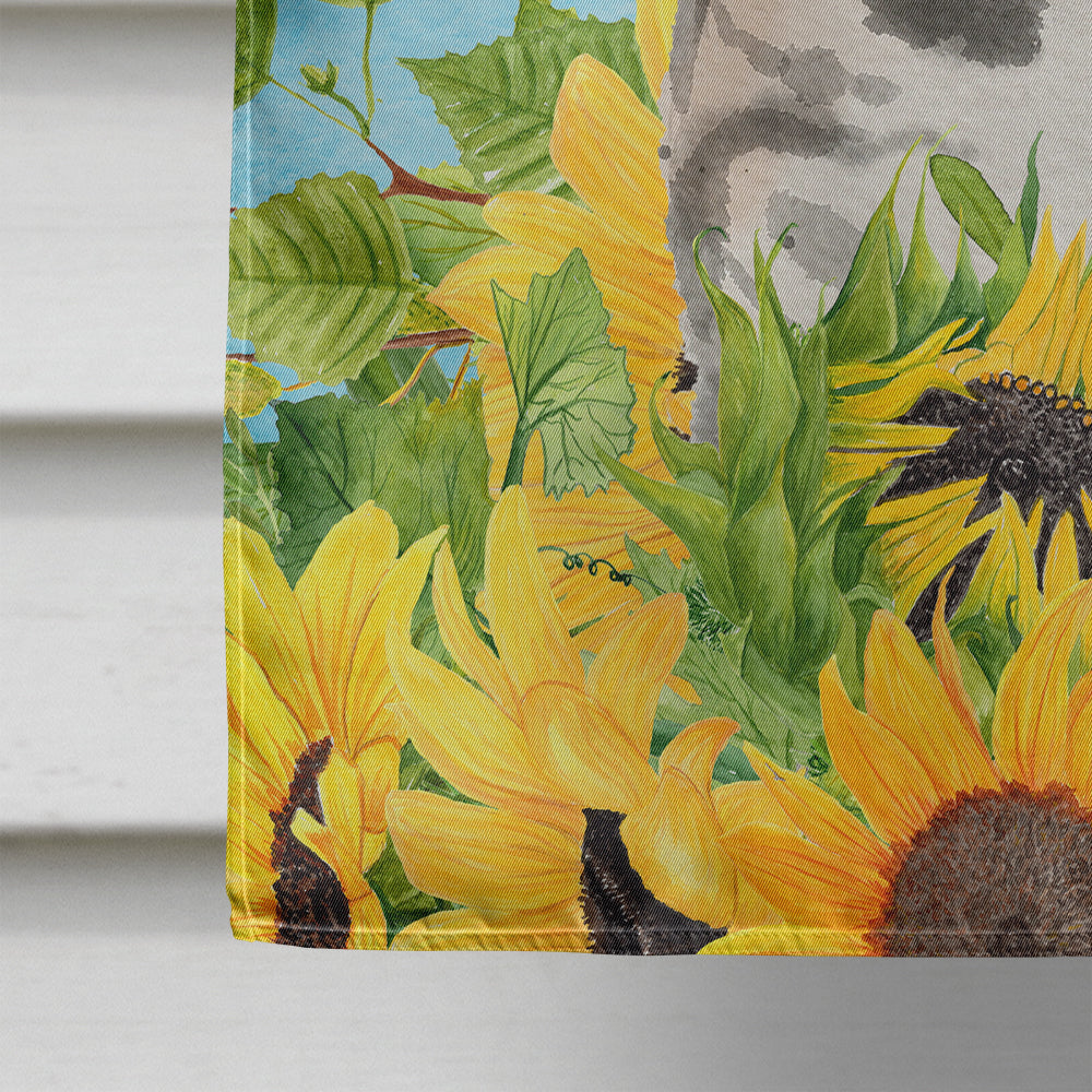 American Shorthair in Sunflowers Flag Canvas House Size CK3149CHF  the-store.com.
