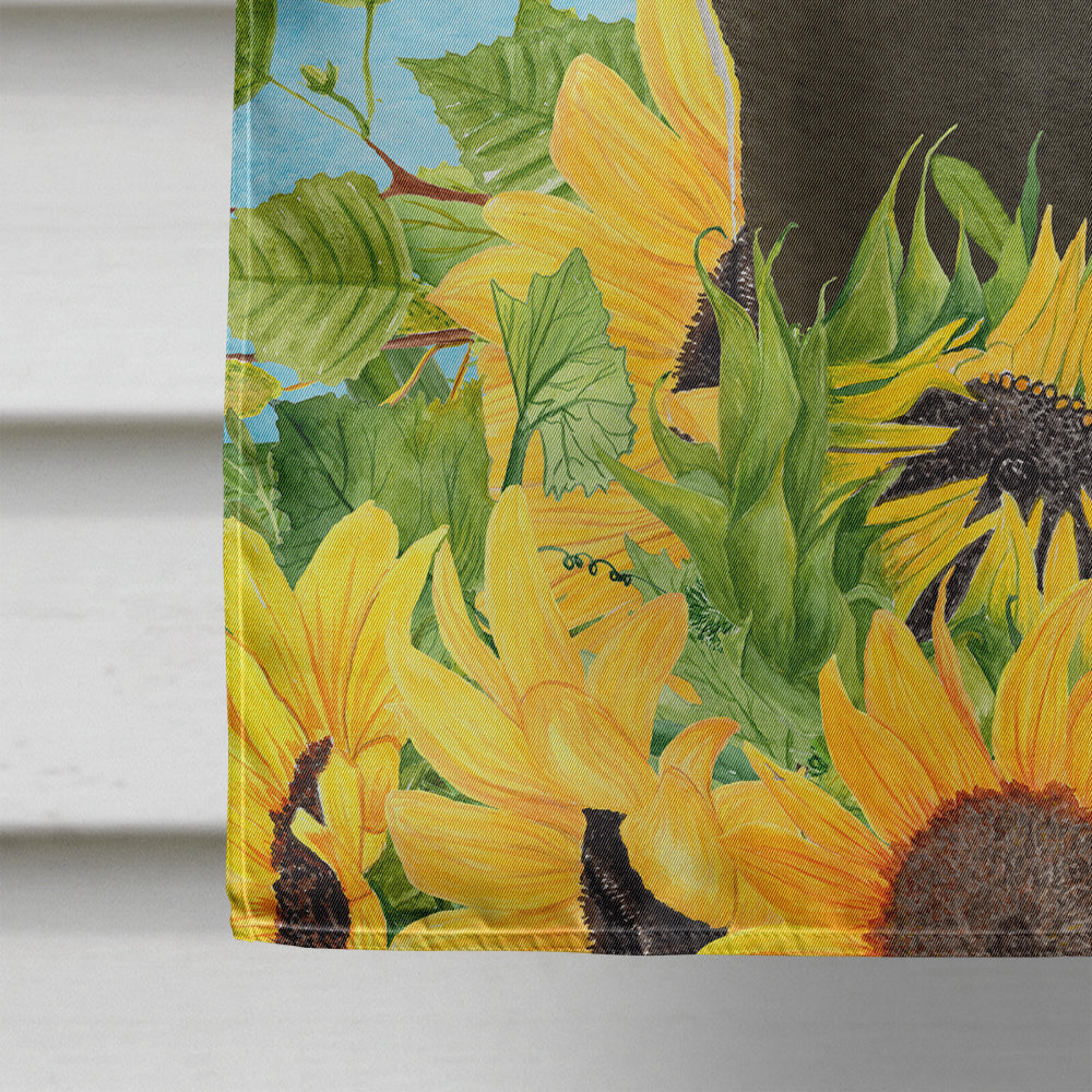 Bombay in Sunflowers Flag Canvas House Size CK3152CHF  the-store.com.
