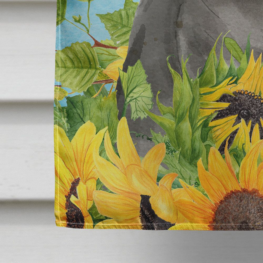 British Shorthair in Sunflowers Flag Canvas House Size CK3153CHF  the-store.com.