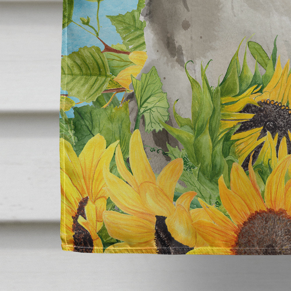 Ragamuffin in Sunflowers Flag Canvas House Size CK3156CHF