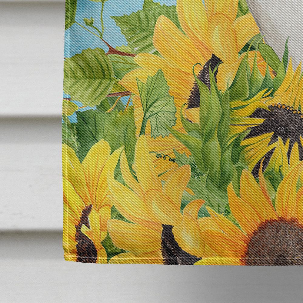 Scottish Fold in Sunflowers Flag Canvas House Size CK3158CHF
