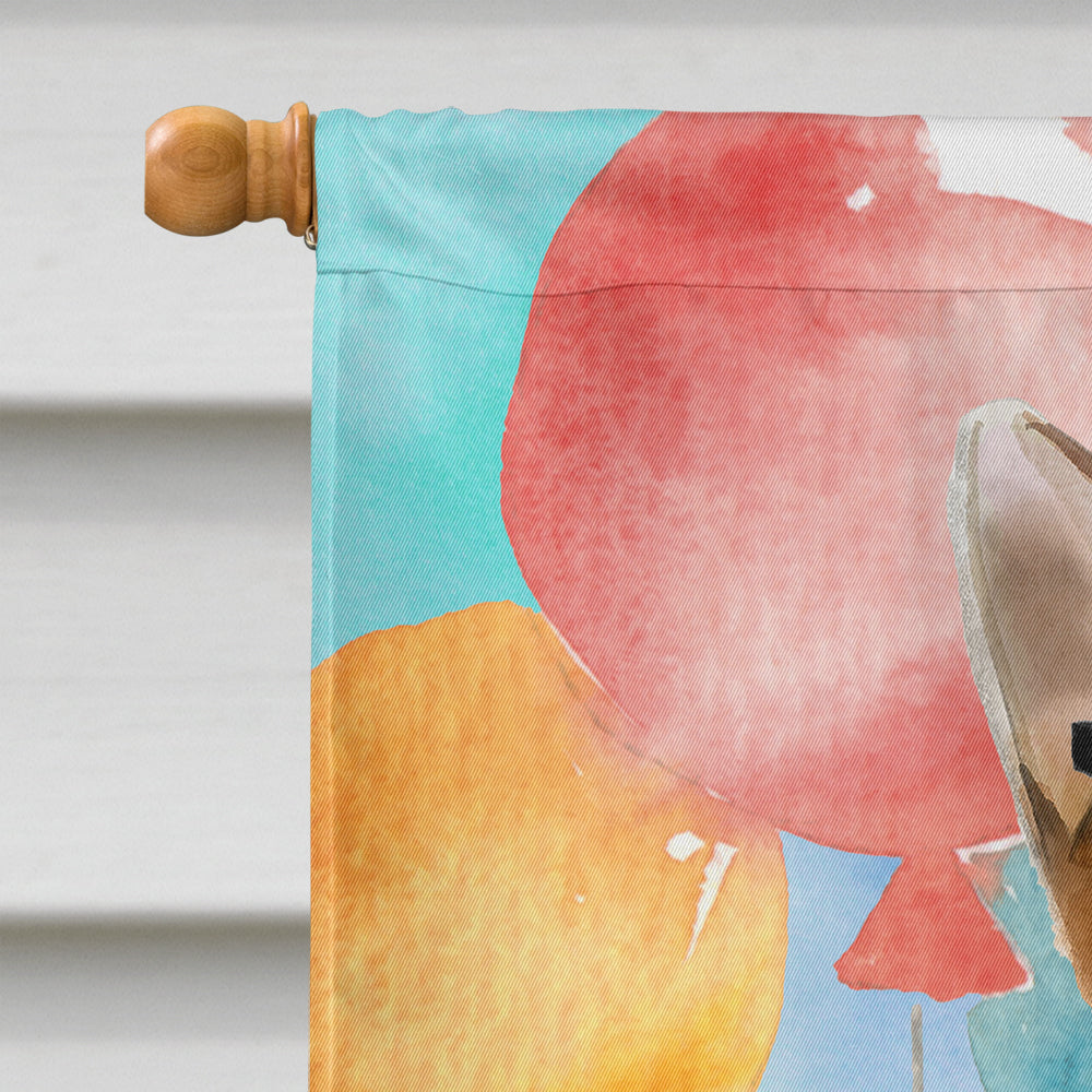 Abyssinian Happy Birthday Flag Canvas House Size CK3162CHF  the-store.com.
