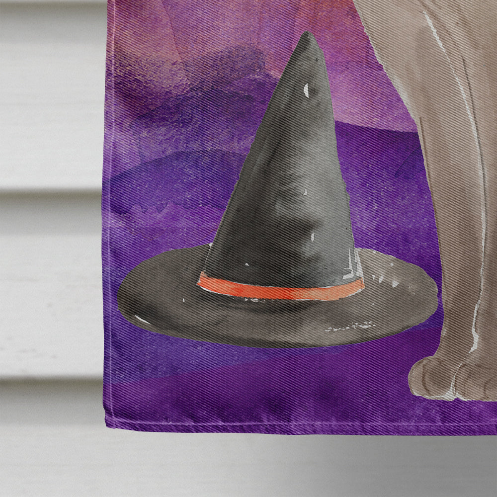 Tonkinese Halloween Flag Canvas House Size CK3191CHF  the-store.com.