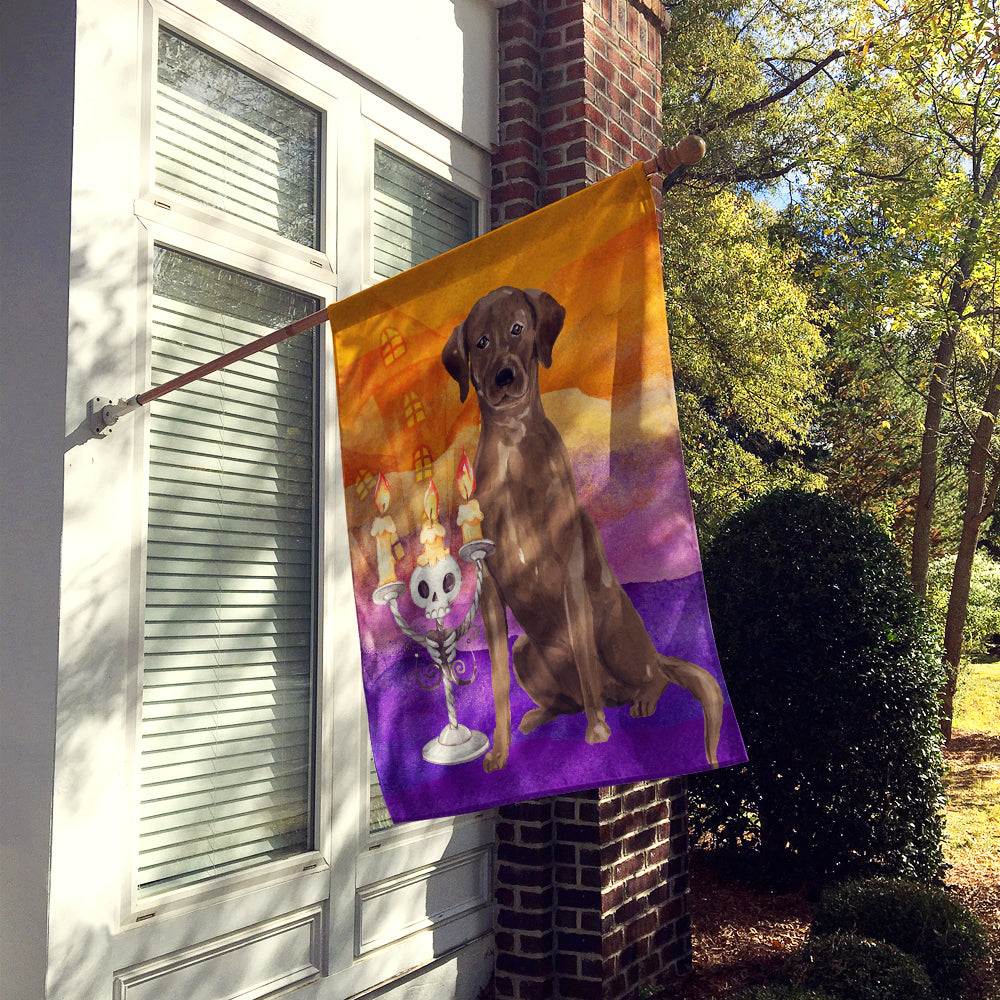 Hallween Chocolate Labrador Retriever Flag Canvas House Size CK3199CHF