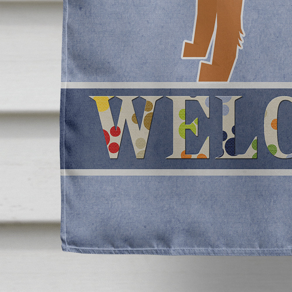 Irish Terrier Welcome Flag Canvas House Size CK3605CHF