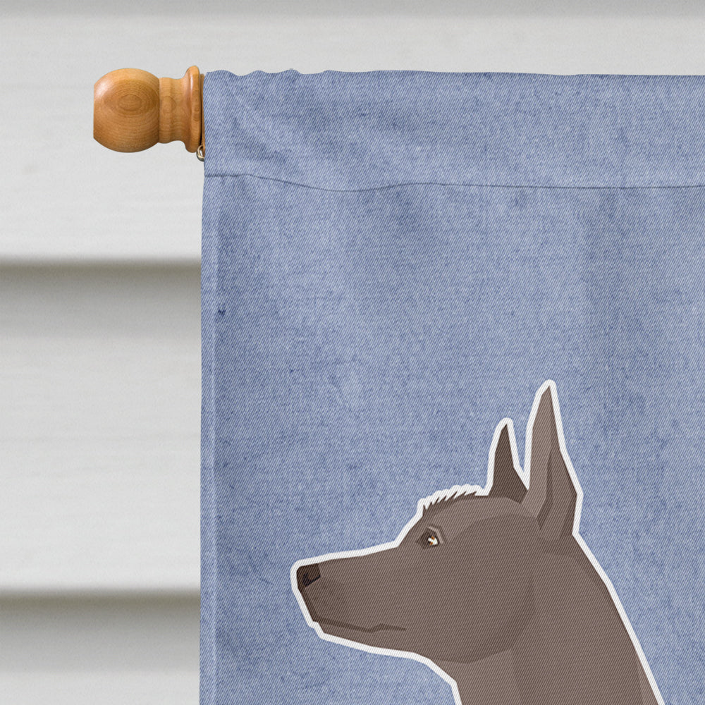 Mexican Hairless Dog Xolo Welcome Flag Canvas House Size CK3629CHF  the-store.com.