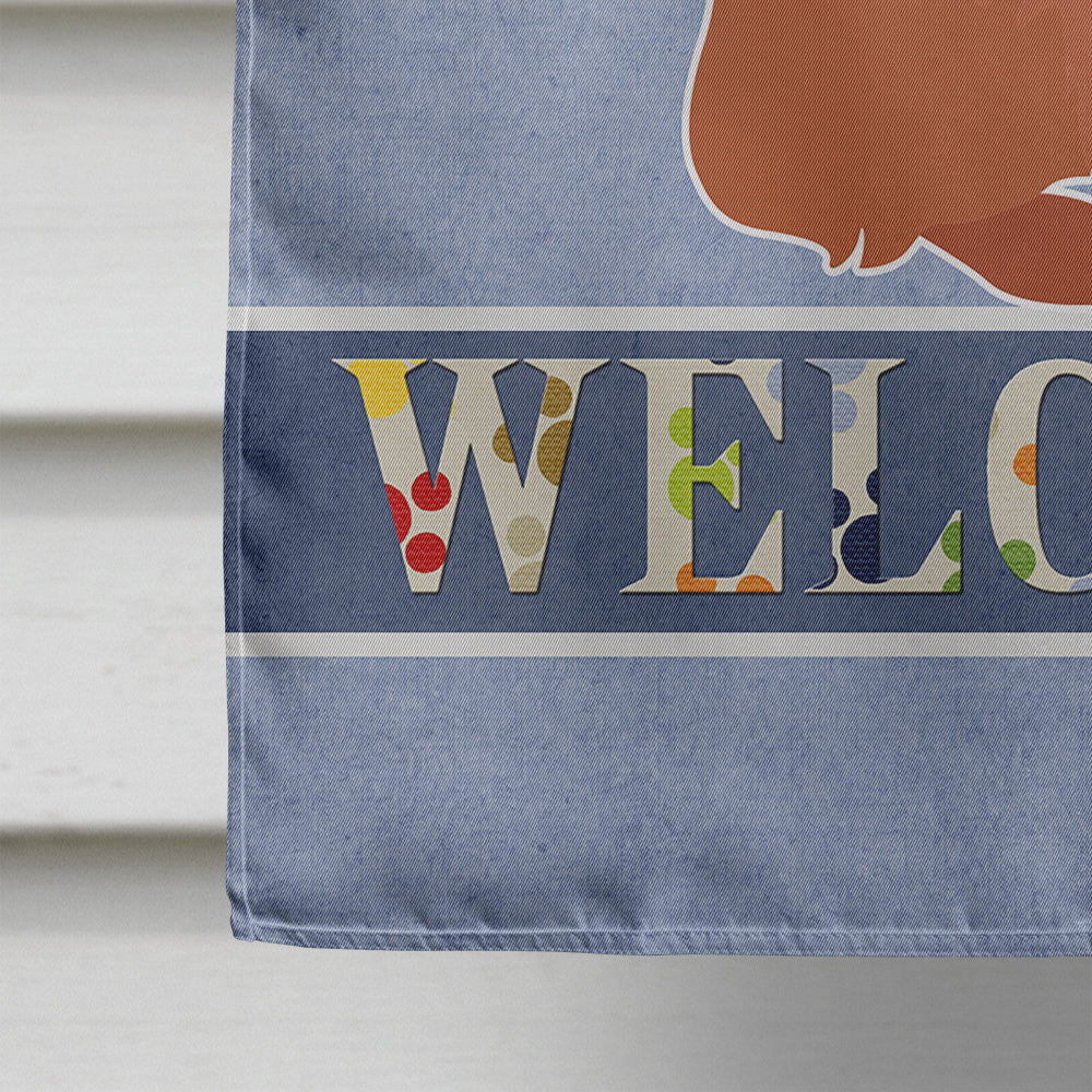Brussels Griffon Welcome Flag Canvas House Size CK3686CHF  the-store.com.