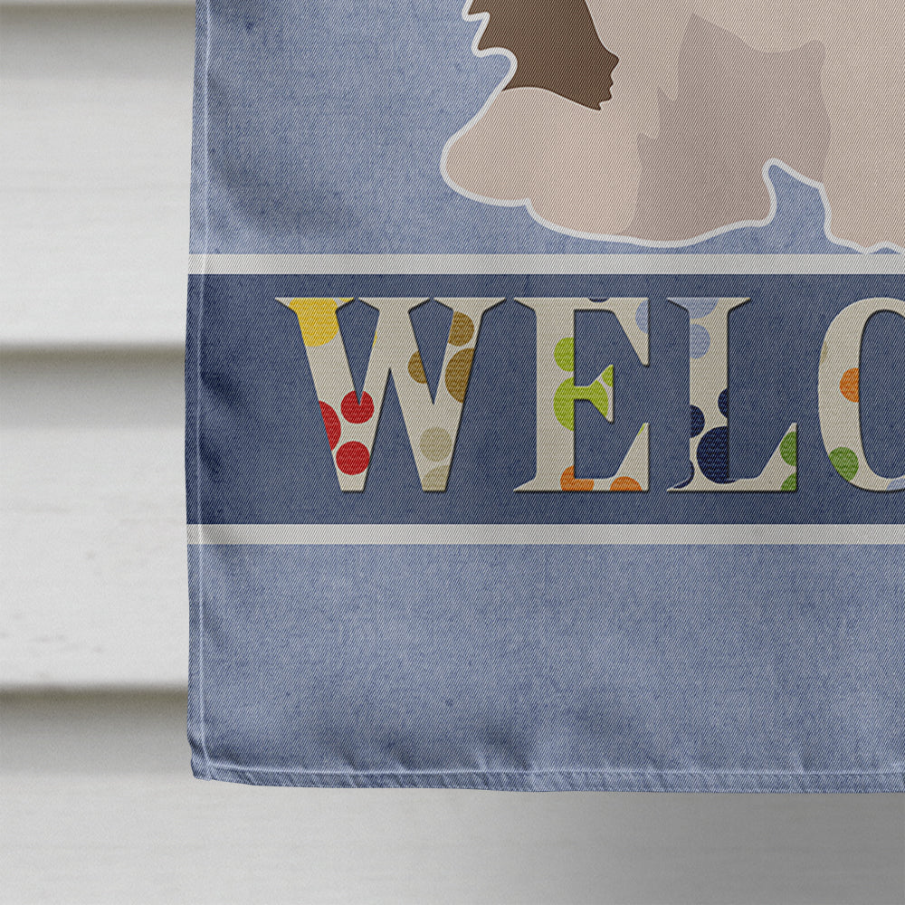 Shi Chi #3 Welcome Flag Canvas House Size CK3796CHF