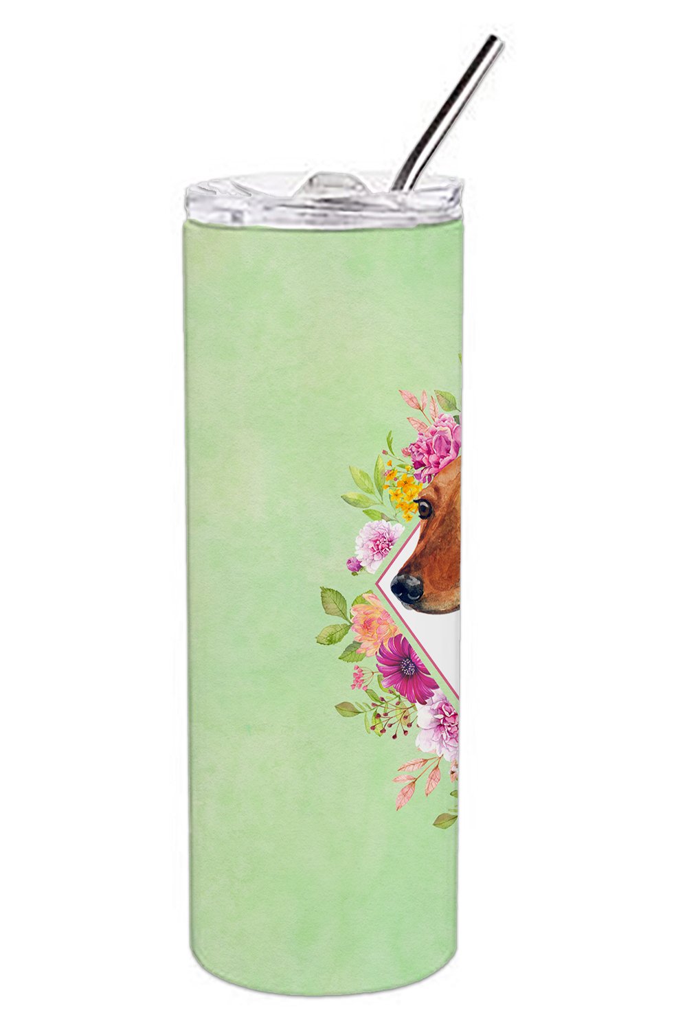 Dachshund Red #1 Green Flowers Double Walled Stainless Steel 20 oz Skinny Tumbler CK4294TBL20 by Caroline's Treasures