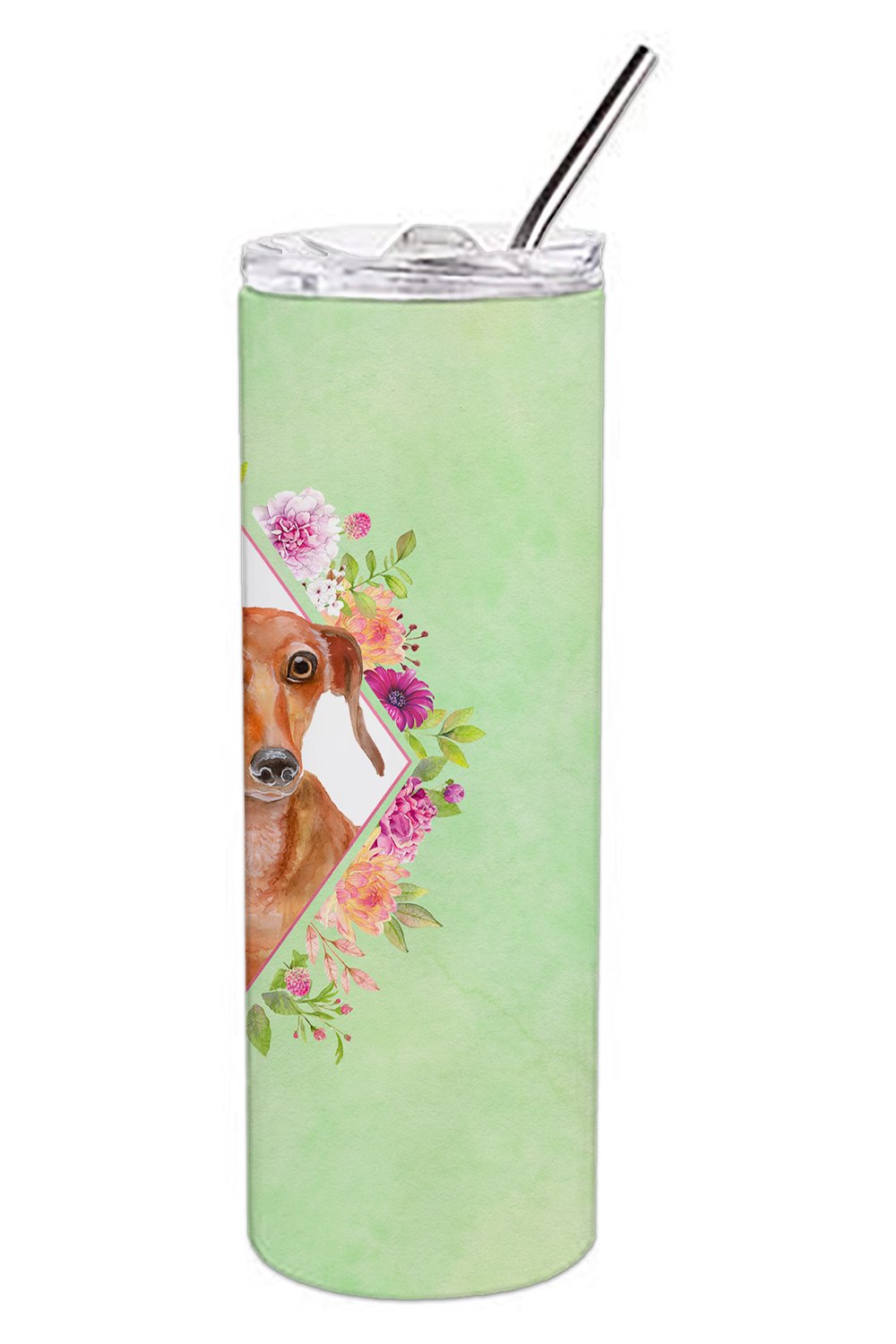 Dachshund Red #2 Green Flowers Double Walled Stainless Steel 20 oz Skinny Tumbler CK4295TBL20 by Caroline's Treasures