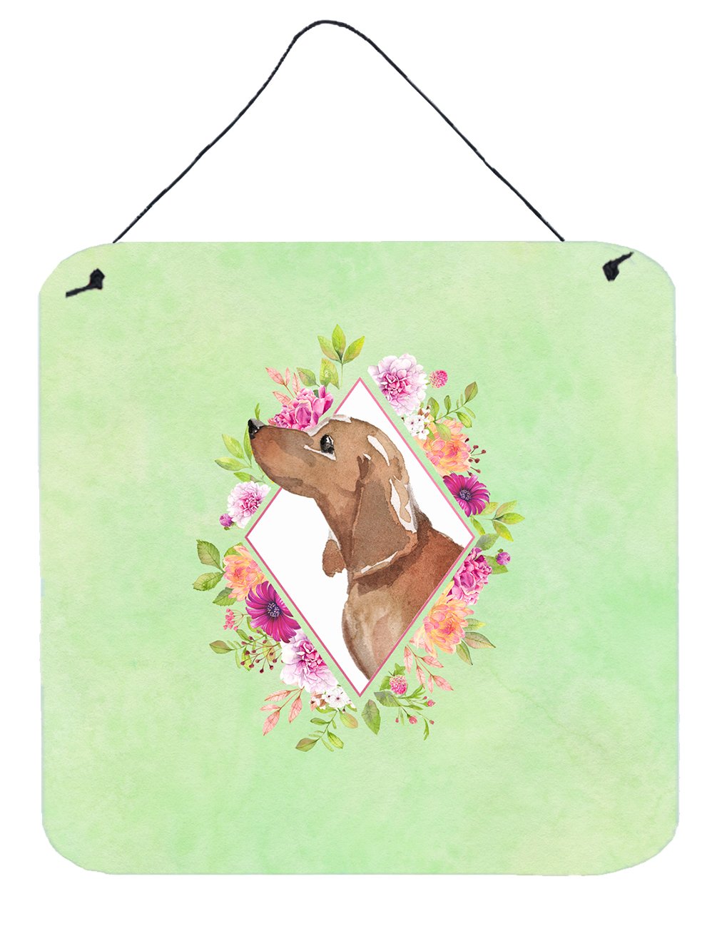 Dachshund Green Flowers Wall or Door Hanging Prints CK4367DS66 by Caroline's Treasures