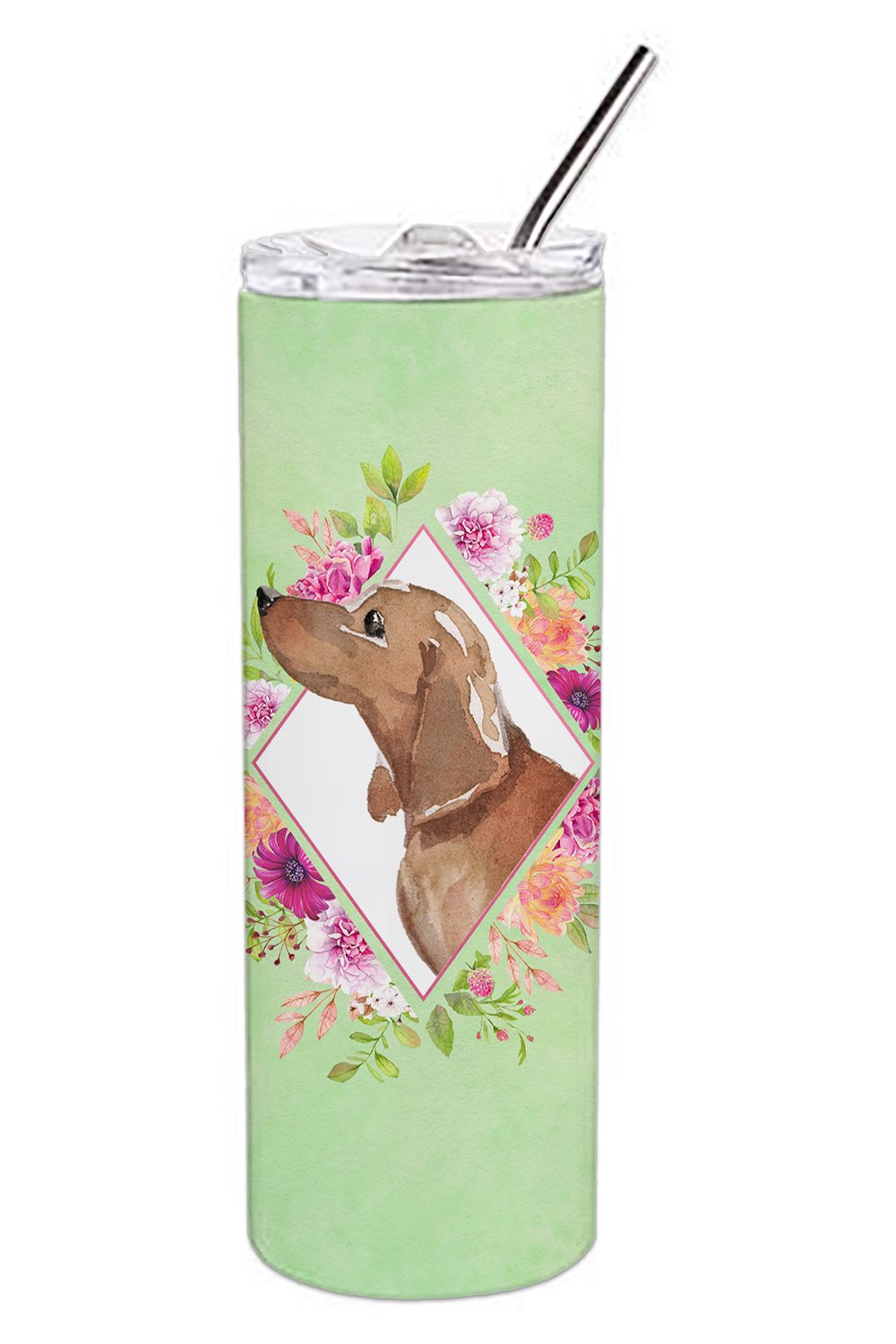Dachshund Green Flowers Double Walled Stainless Steel 20 oz Skinny Tumbler CK4367TBL20 by Caroline&#39;s Treasures
