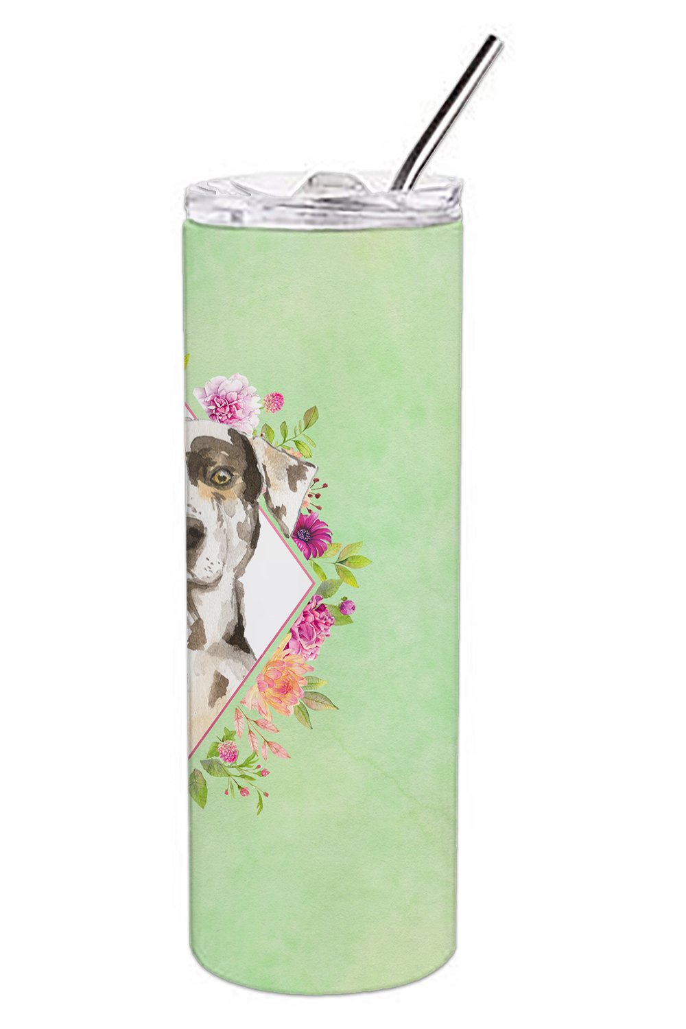 Catahoula Leopard Dog Green Flowers Double Walled Stainless Steel 20 oz Skinny Tumbler CK4409TBL20 by Caroline's Treasures