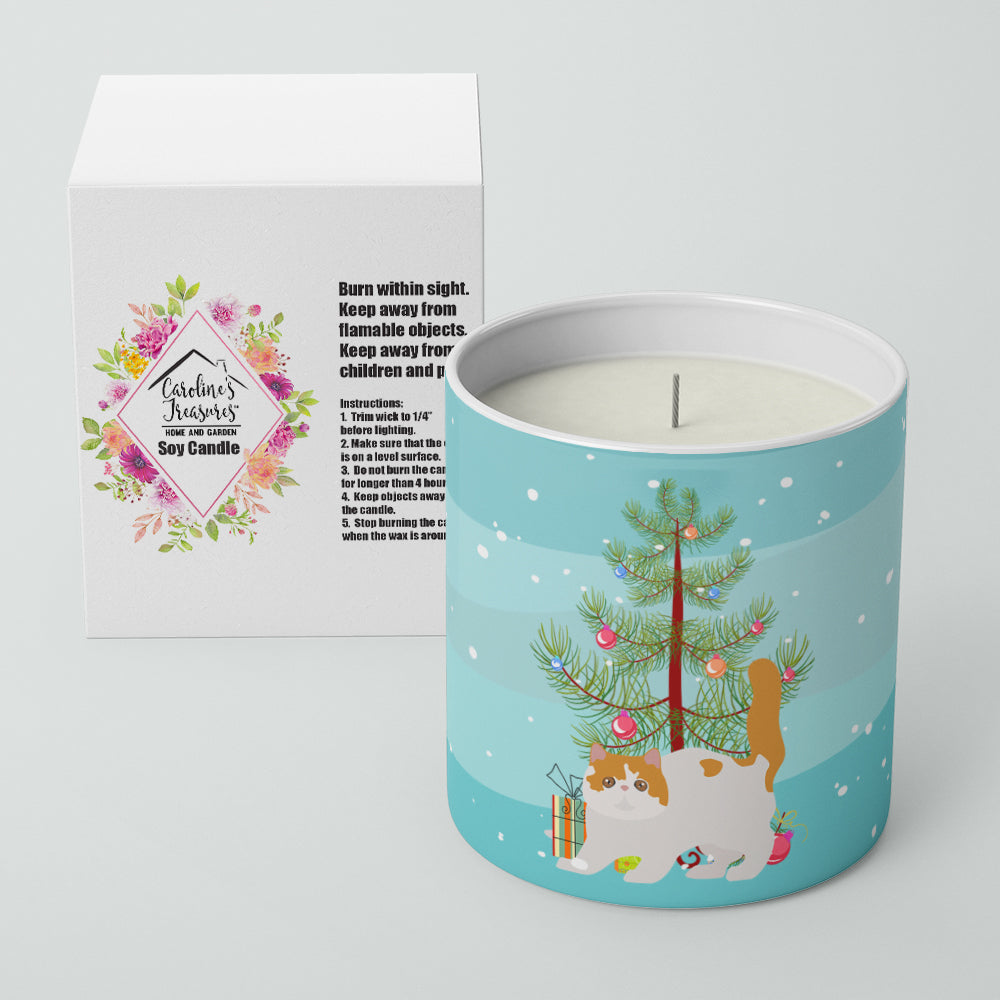 Buy this Exotic Shorthair #4 Cat Merry Christmas 10 oz Decorative Soy Candle