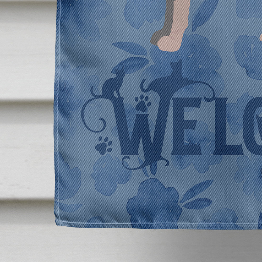 Sphynx #2 Cat Welcome Flag Canvas House Size CK4991CHF