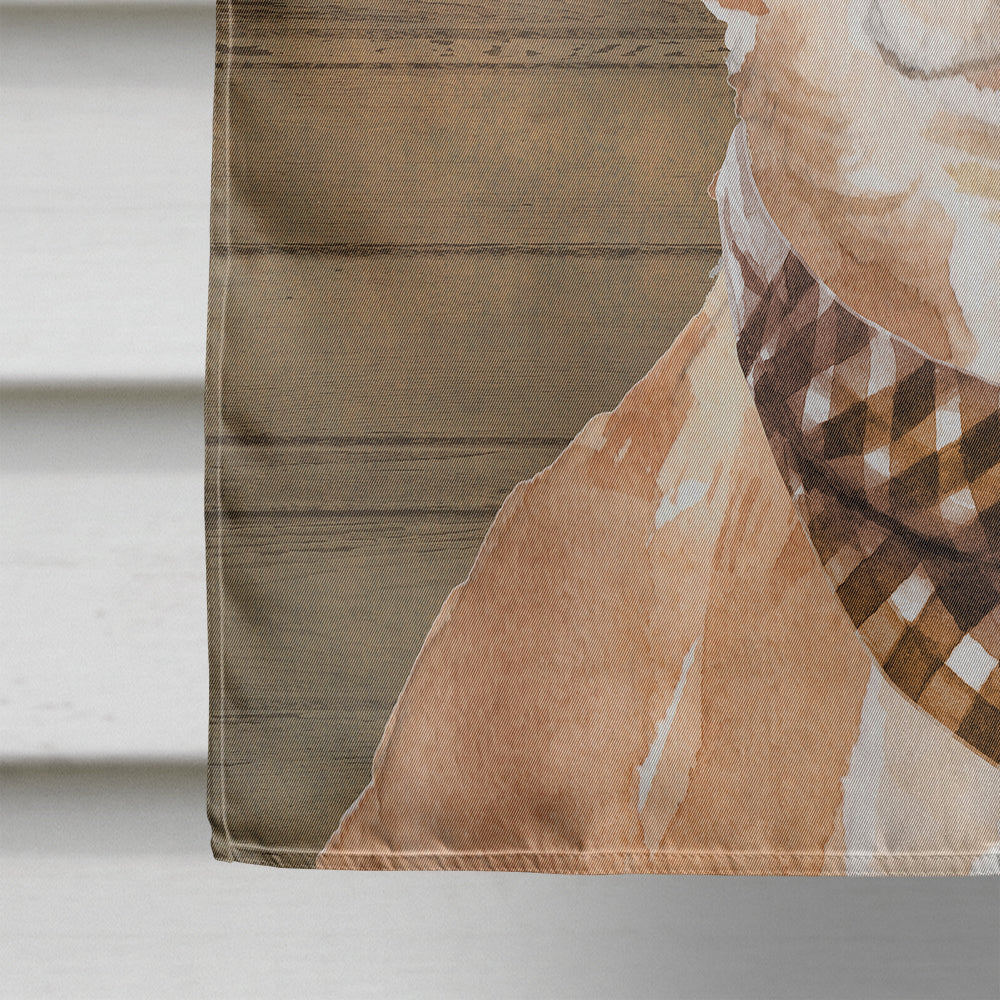 Chihuahua Country Dog Flag Canvas House Size CK6305CHF  the-store.com.