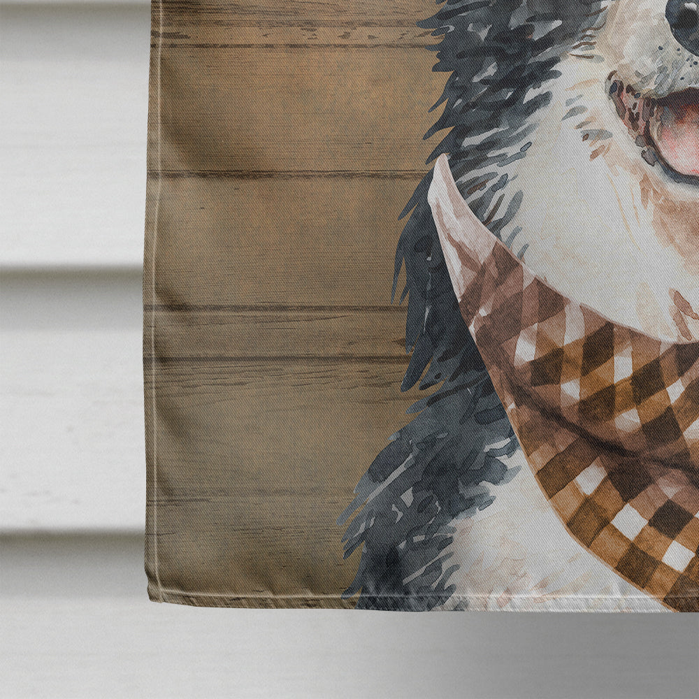 Border Collie Country Dog Flag Canvas House Size CK6319CHF