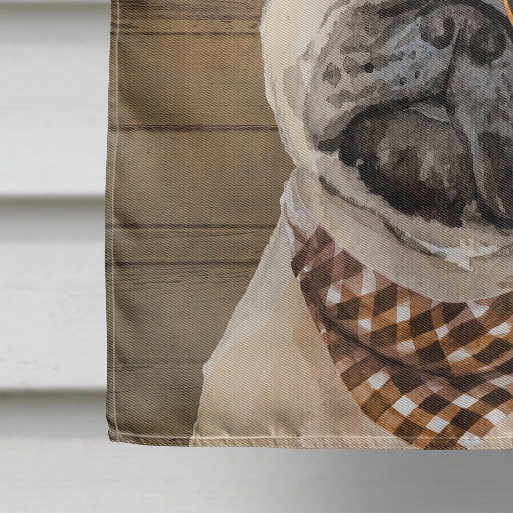 Fawn French Bulldog Country Dog Flag Canvas House Size CK6330CHF  the-store.com.