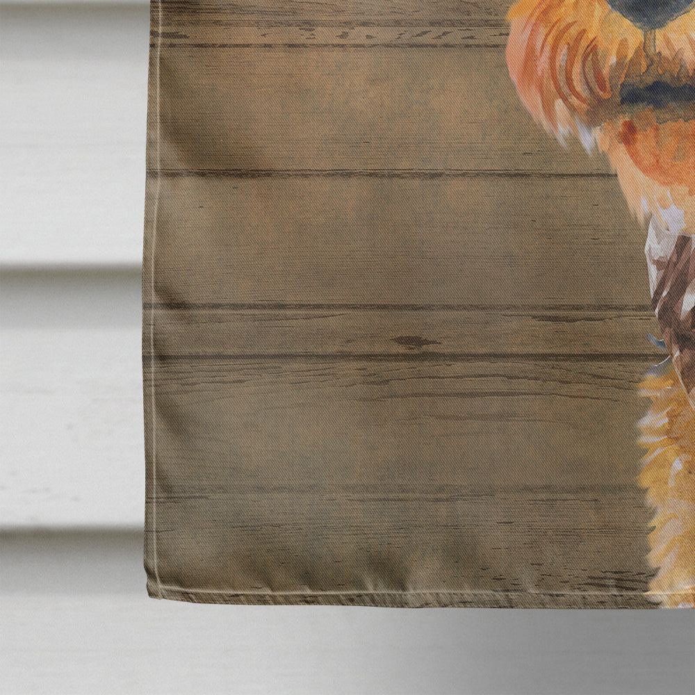 Welsh Terrier #2 Country Dog Flag Canvas House Size CK6374CHF  the-store.com.