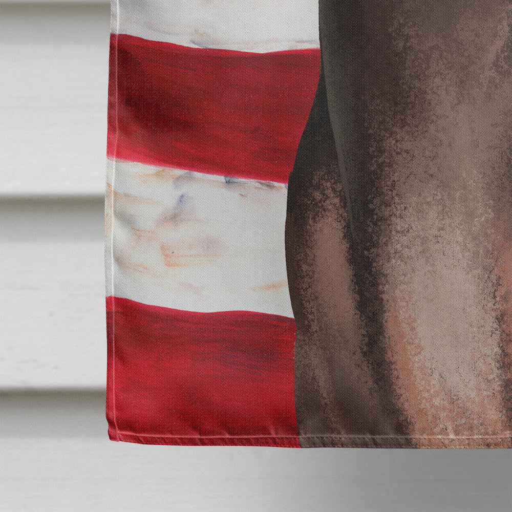 American Hairless Terrier American Flag Flag Canvas House Size CK6400CHF