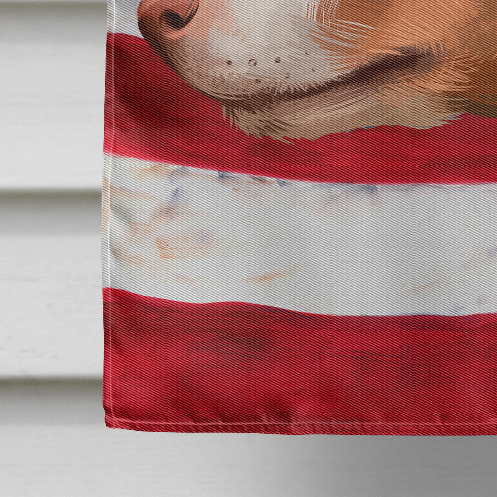 Andalusian Hound Dog American Flag Flag Canvas House Size CK6404CHF